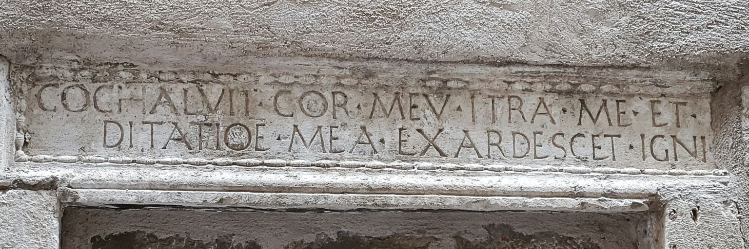 máfan's banner