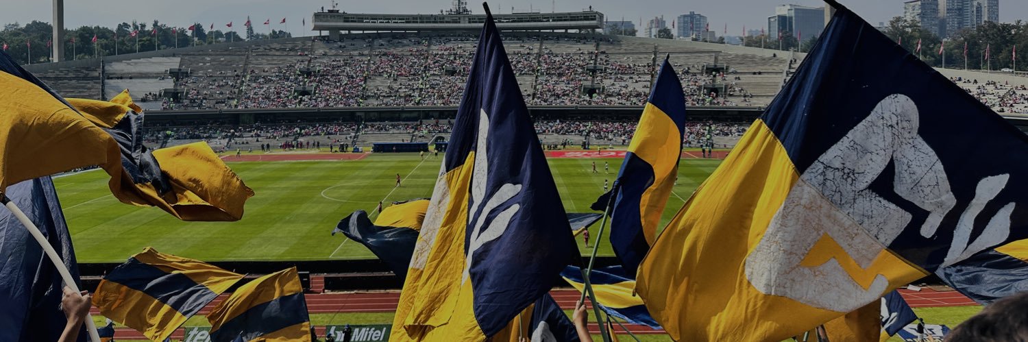 Diego's banner