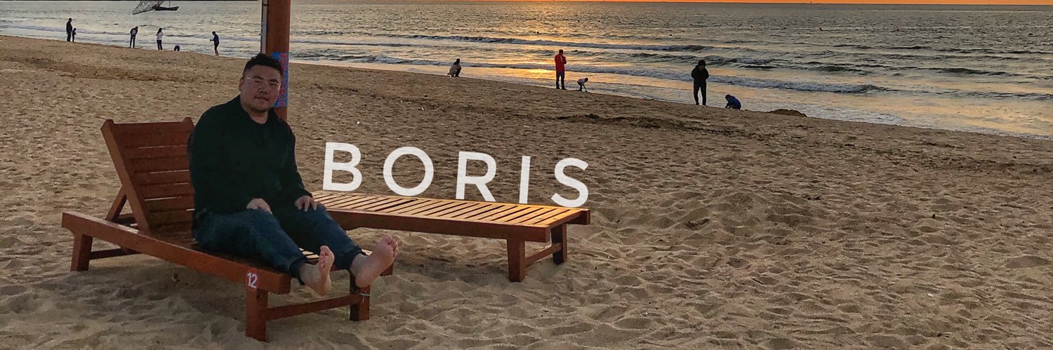 Borissss's banner