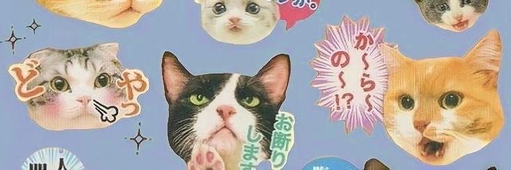 𝚇𝙾𝙸𝙲𝙰𝚃's banner