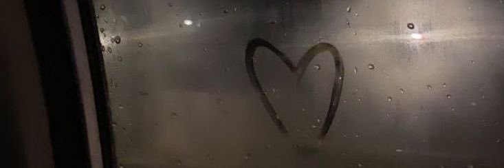 Anna's banner