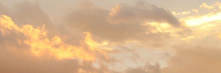Feriel ꕤ's banner