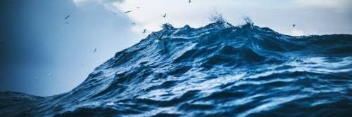 Ici_Fauvette 🤟✌️'s banner