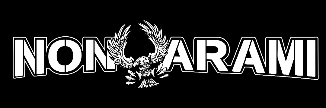 NON ARAMI's banner