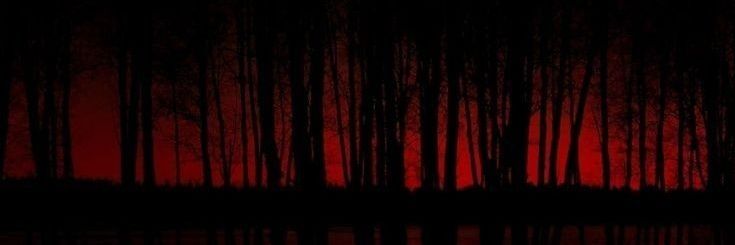 ⧼⧼L⧽⧼o⧽⧼n⧽⧼e⧽⧽'s banner