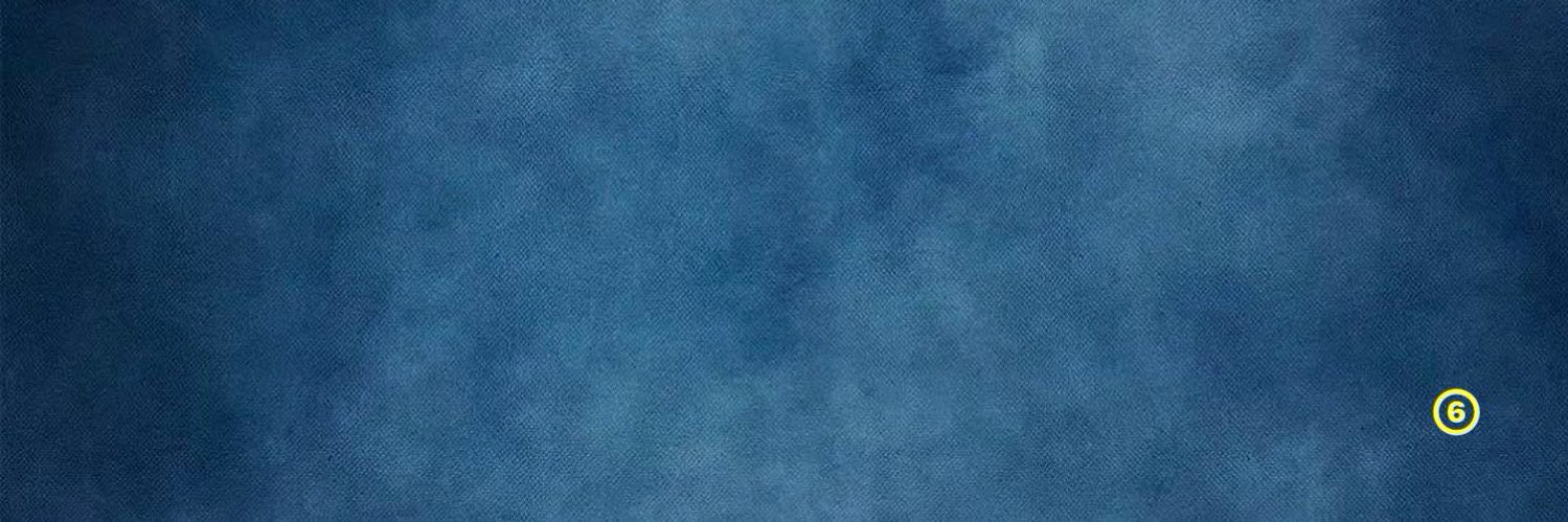 mz's banner