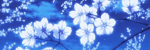 𝕷𝖚𝖈𝖞 💙🦋's banner