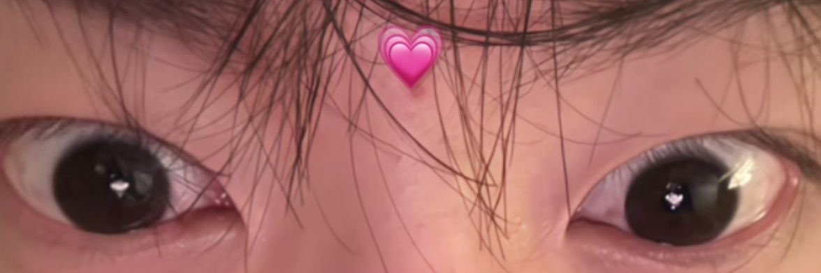 dann aus | fin pass's banner