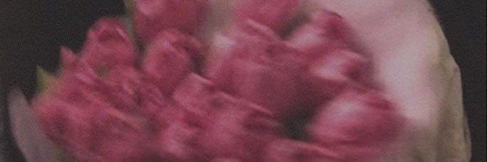 iRefo's banner