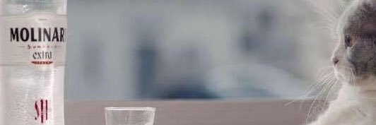 Tiero Porri's banner