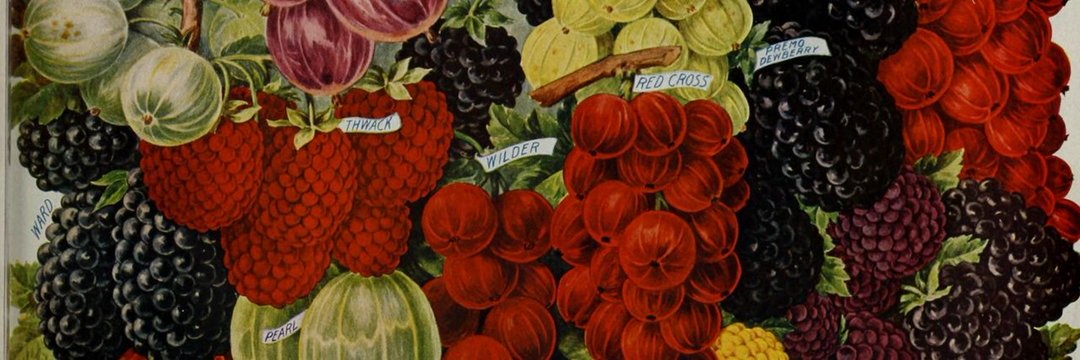 miláosoba's banner