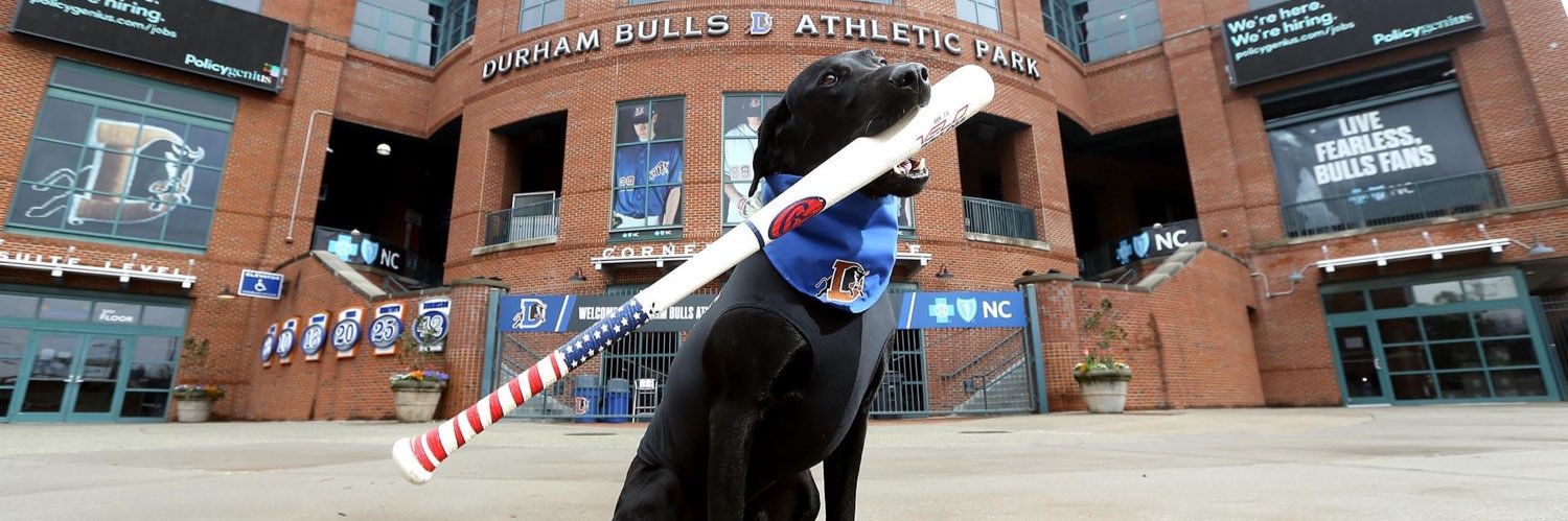 Ripken the Bat Dog's banner