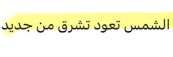 📻🌻's banner
