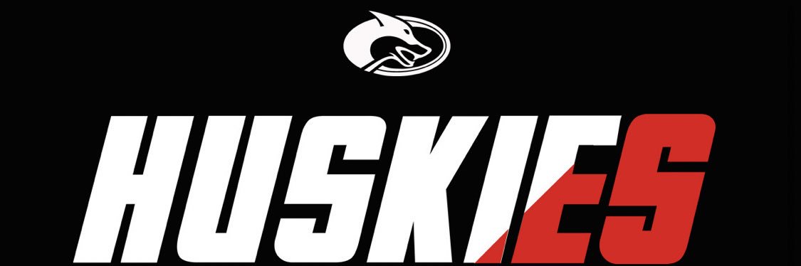 Hamburg Huskies's banner