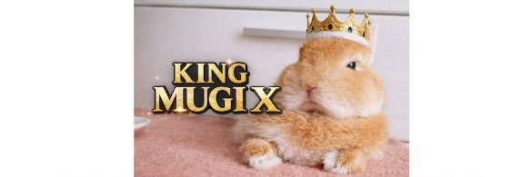 Mugi the King / うさぎ王むぎ's banner