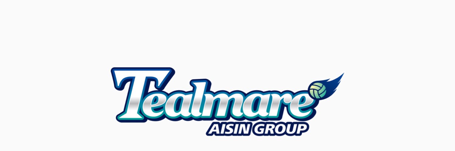 アイシンティルマーレ碧南's banner