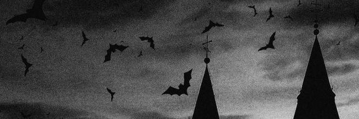 ⚔️⛓️Vix⛓️⚔️'s banner