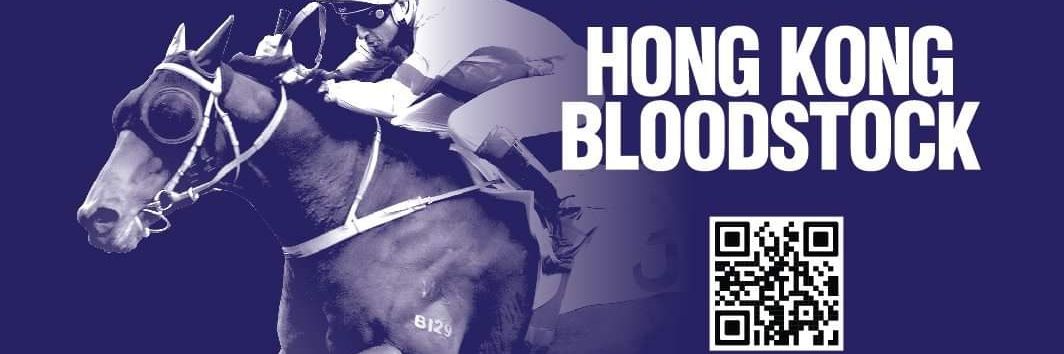 Hong Kong Bloodstock's banner