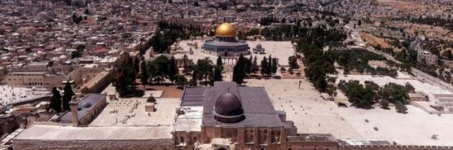 Hasoon 🇵🇸's banner