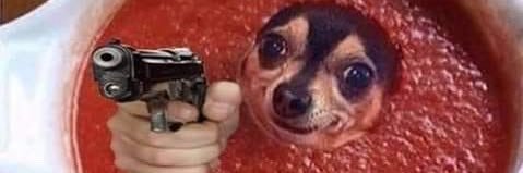 Pup Cosmos 🪐's banner