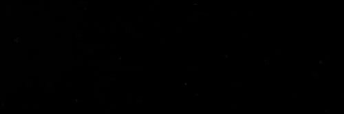L's banner