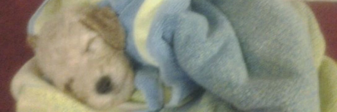 matt's banner