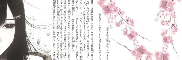 cat's banner