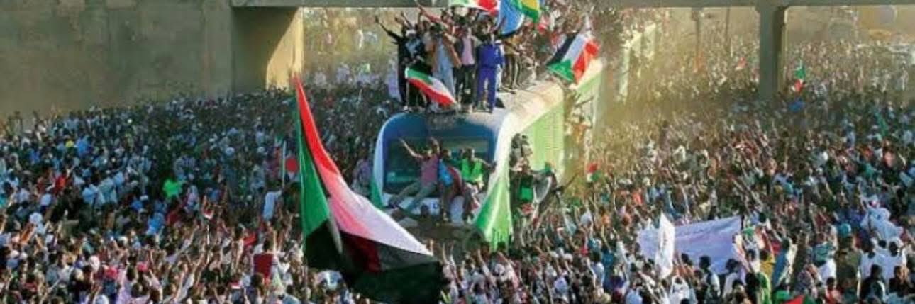 داليا الطاهر- Dalia Eltahir's banner