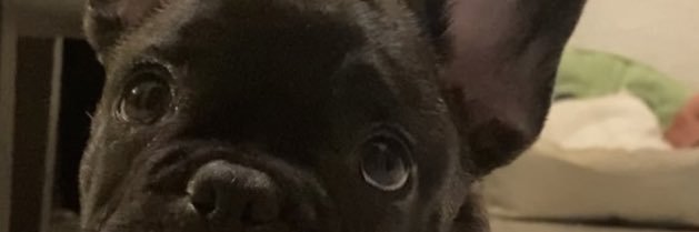 Karime Golib vlogs's banner