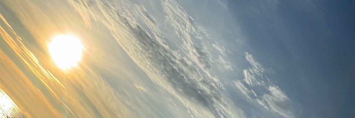 Salvatore's banner