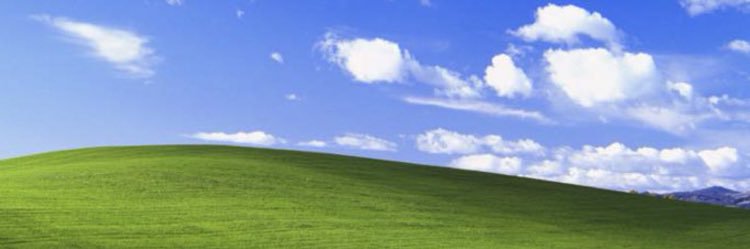 どんぐり's banner