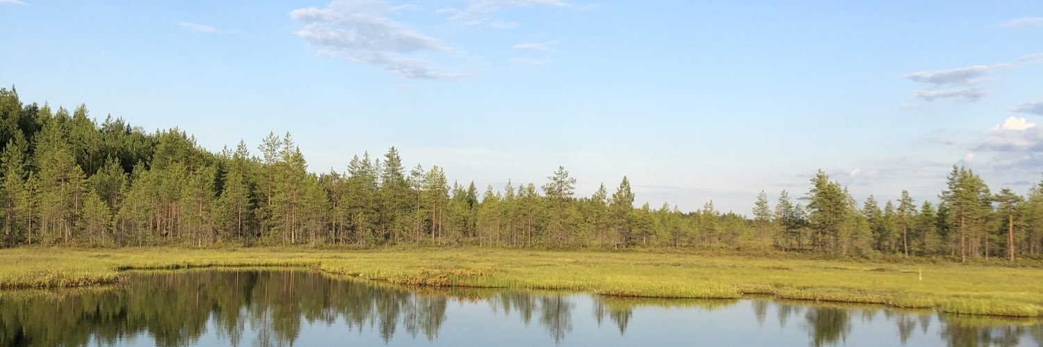 Nuutti Ruotsalainen's banner