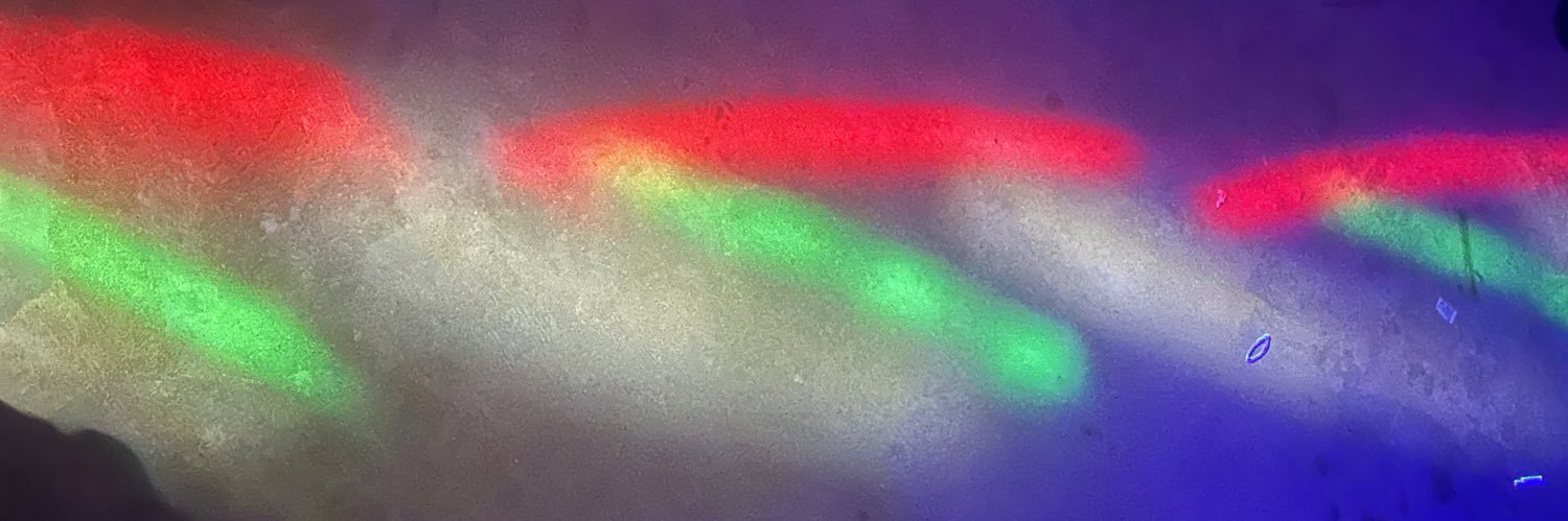 Your Girlfriend's banner