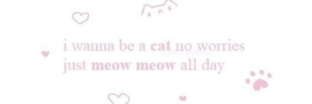 โฮกปิ๊บ ✿'s banner