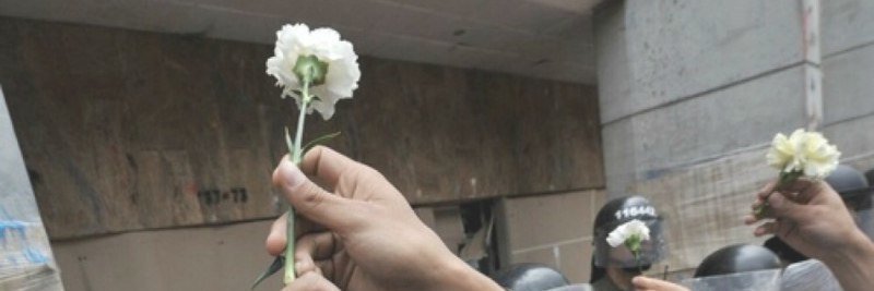 源于自然's banner