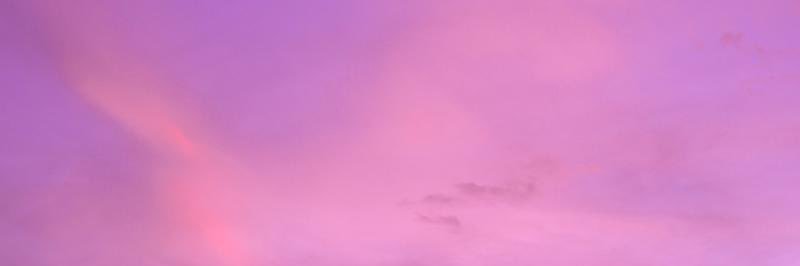 ORi's banner