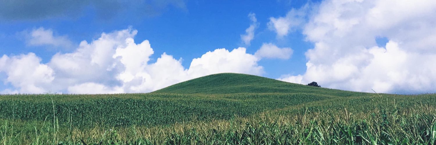 164🍀's banner