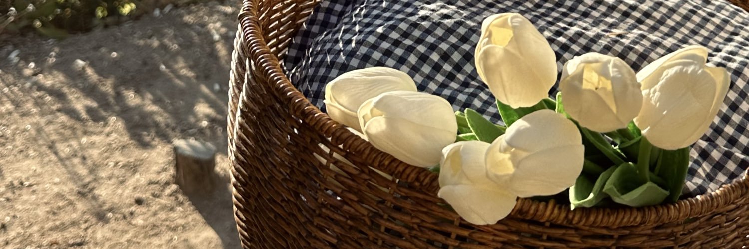 zeynep's banner