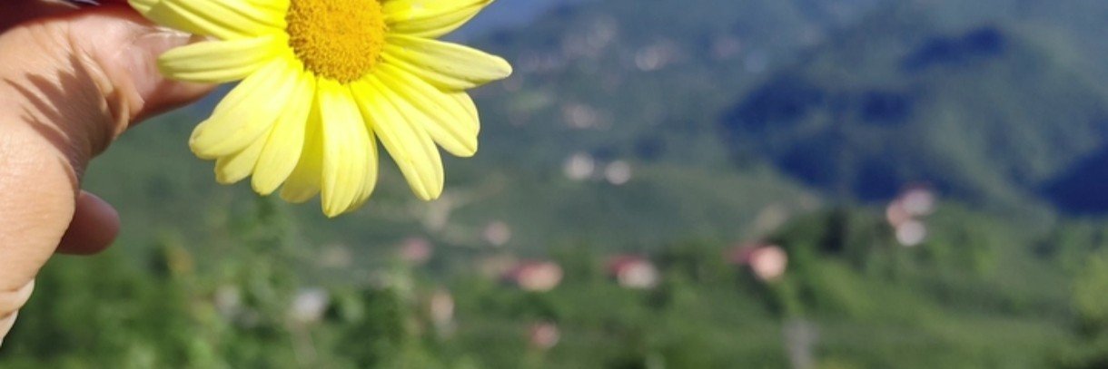 küçük dünyam's banner