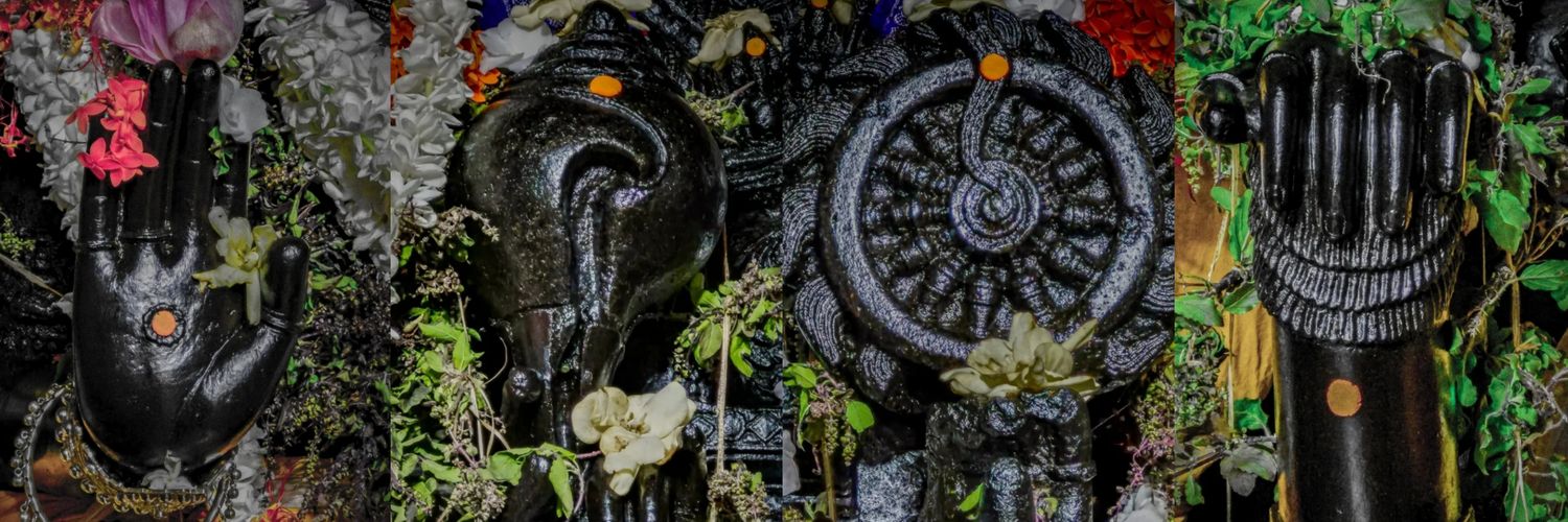 urugāya 🛡️'s banner