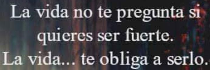 Tavo's banner