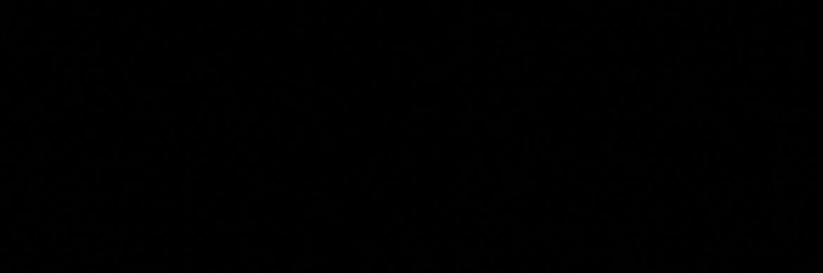 le big y's banner