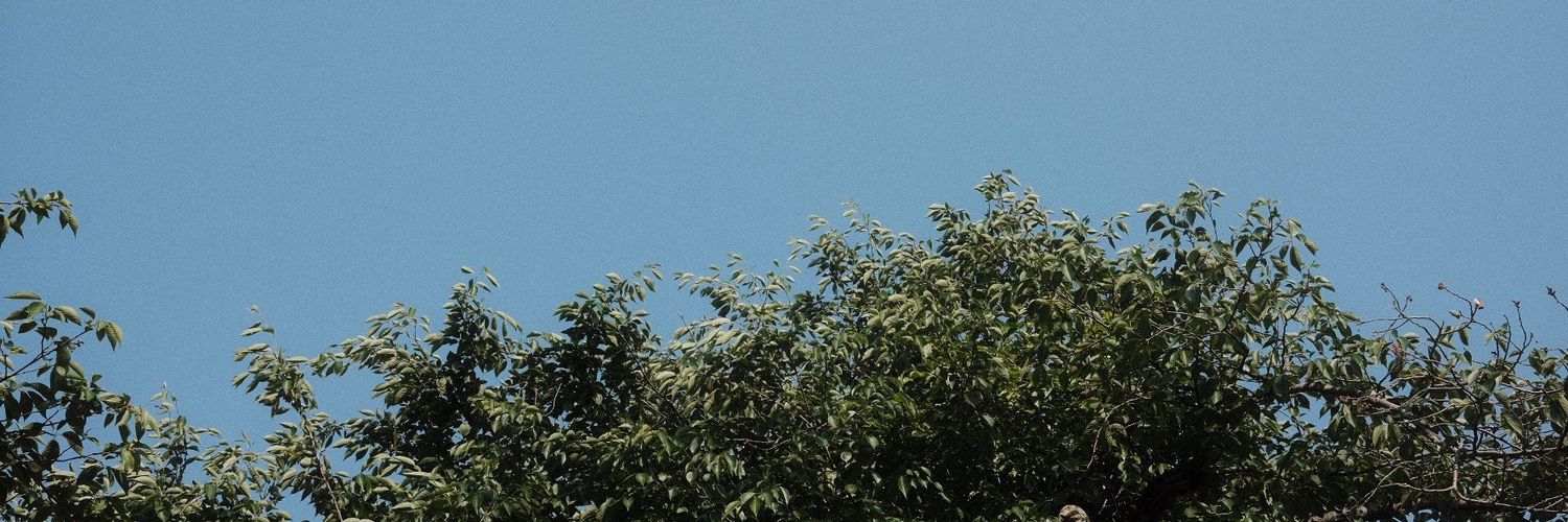 dee ✦ (ia)'s banner