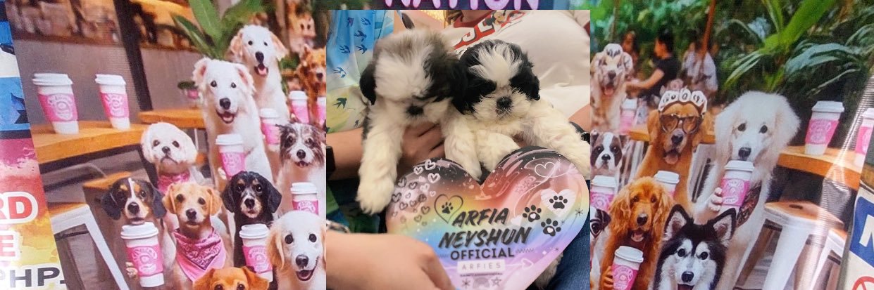 💅🏻Lime's banner