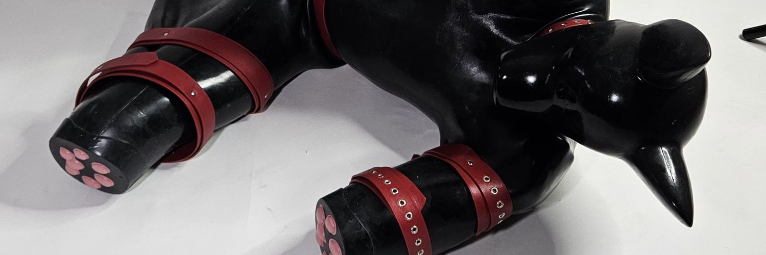 LatexFuchs's banner