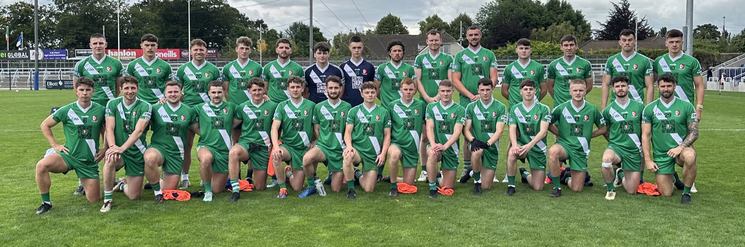 SarsfieldsGAA's banner