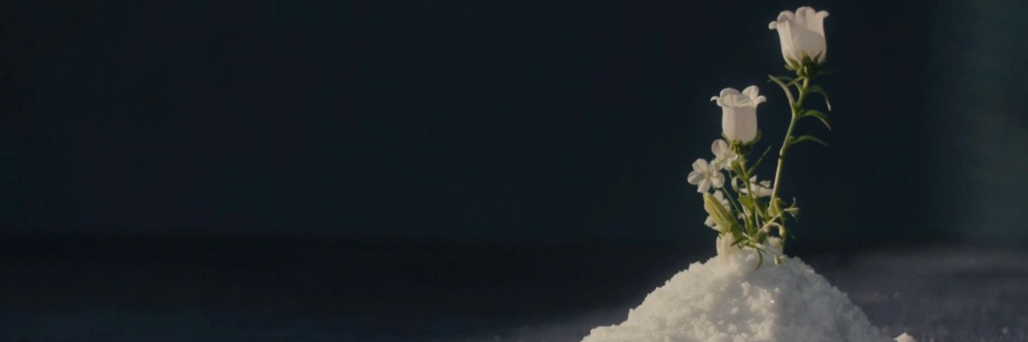 mm ˙ᵕ˙'s banner