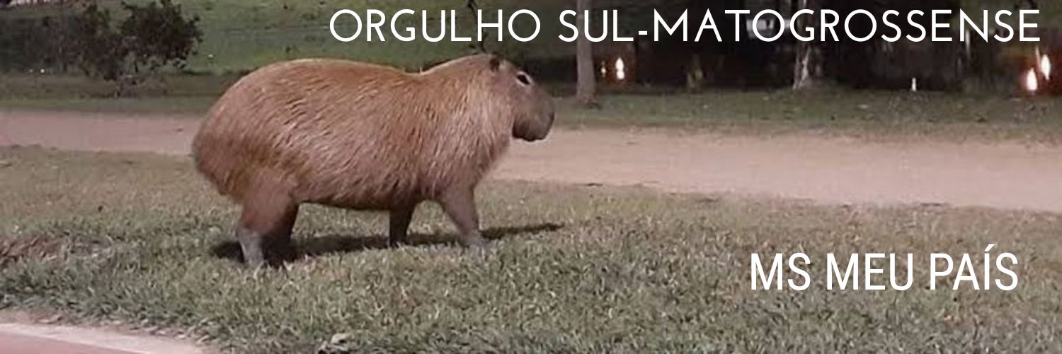 Orgulho Sul-Matogrossense's banner