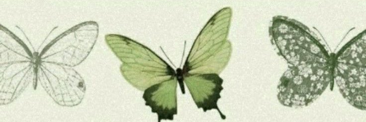 giovanna ⓟ⸆⸉'s banner