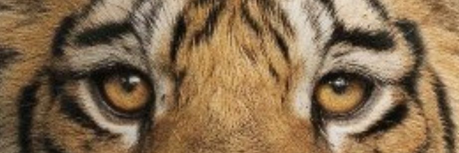 Kanwardeep singh's banner